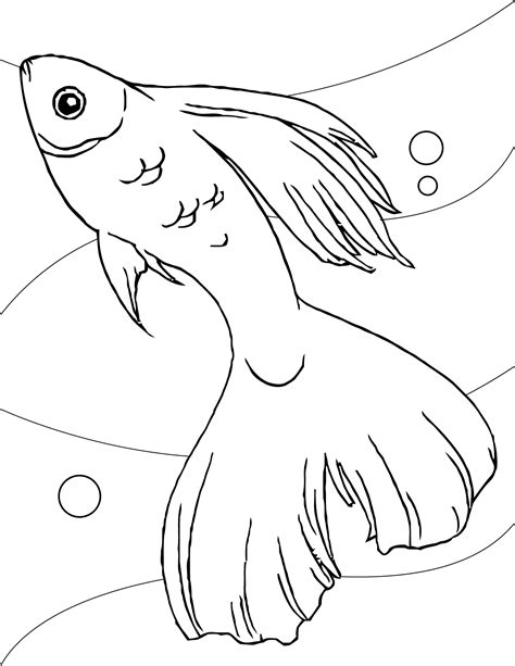 257 Fish Coloring Pages – Free Printable.
